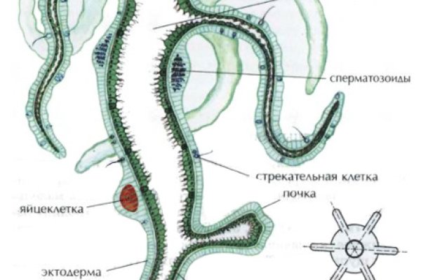 Кракен сайт продаж