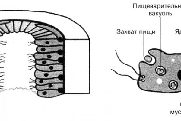 Kraken 13at сайт