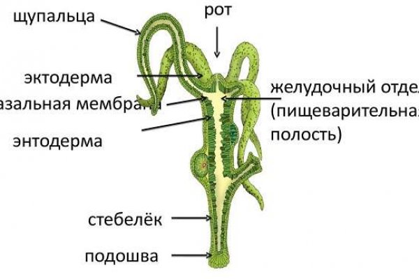 Kraken market зеркала