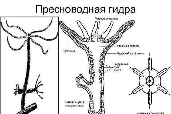 Украли аккаунт кракен