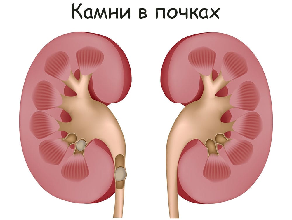 Kraken 8 at сайт